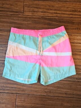 chubbies Mint Green, Pink & Cream Striped Swim Trunks Large